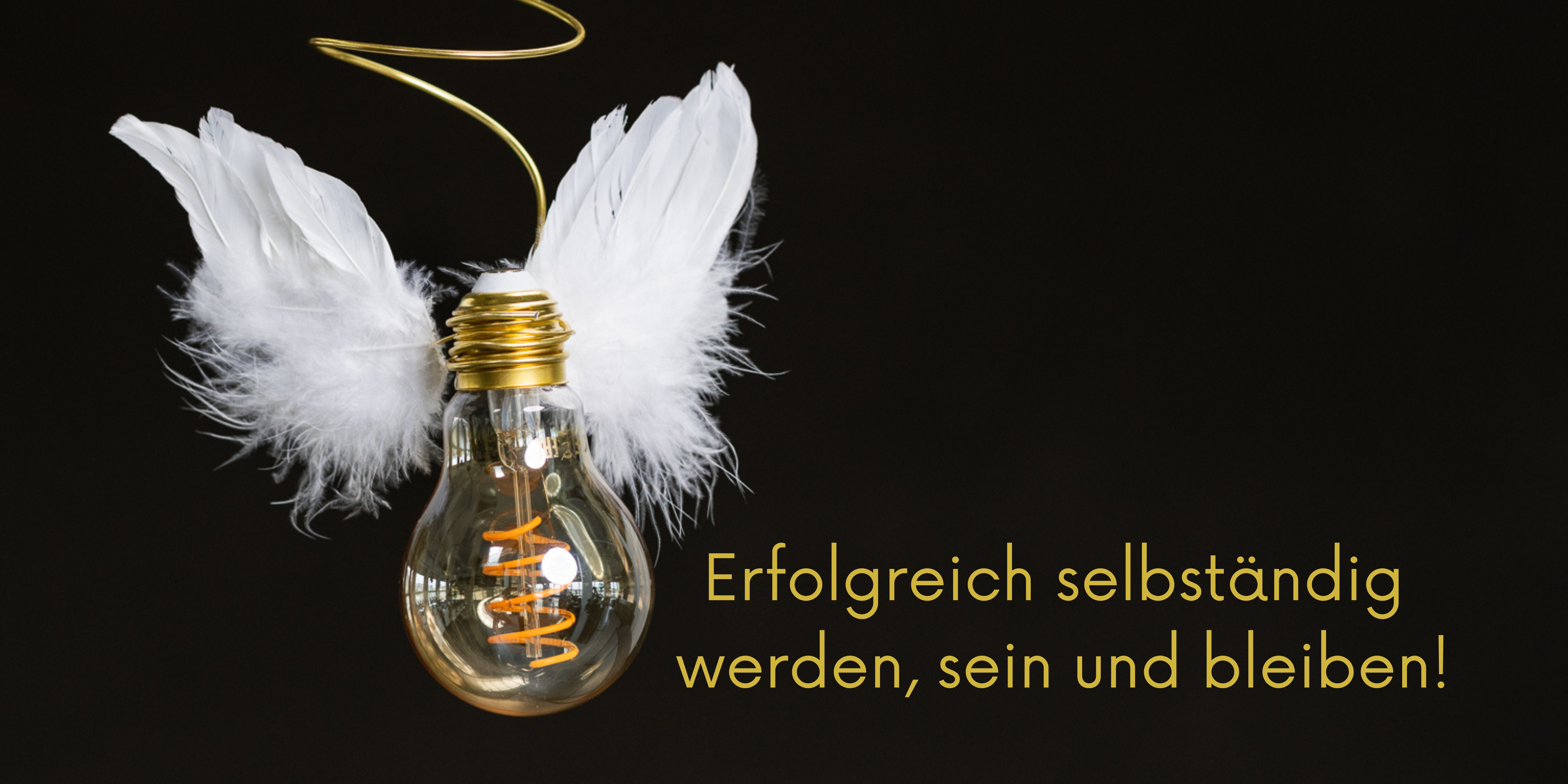 Ich bin Steph Rovati und begleite dich in Form von Coaching, Sparring oder Hands on.